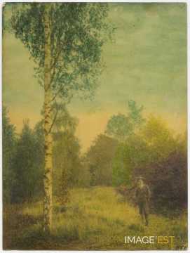 André Schaeffer près d'un arbre